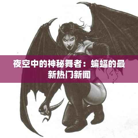 夜空中的神秘舞者:蝙蝠的最新热门新闻