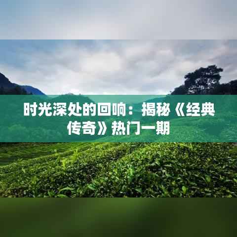 时光深处的回响：揭秘《经典传奇》热门一期