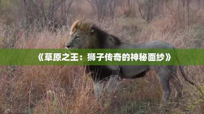 物以稀为贵 第5页