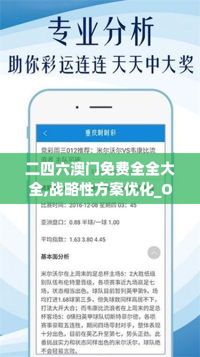二四六澳门免费全全大全,战略性方案优化_OP73.710