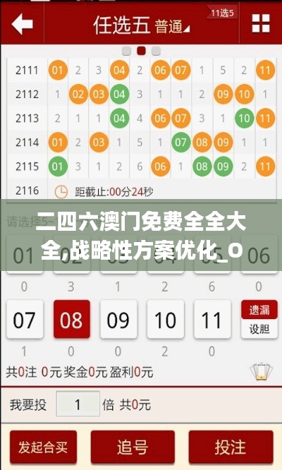 二四六澳门免费全全大全,战略性方案优化_OP73.710
