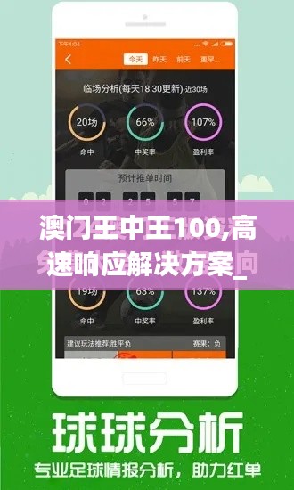 澳门王中王100,高速响应解决方案_XP137.778