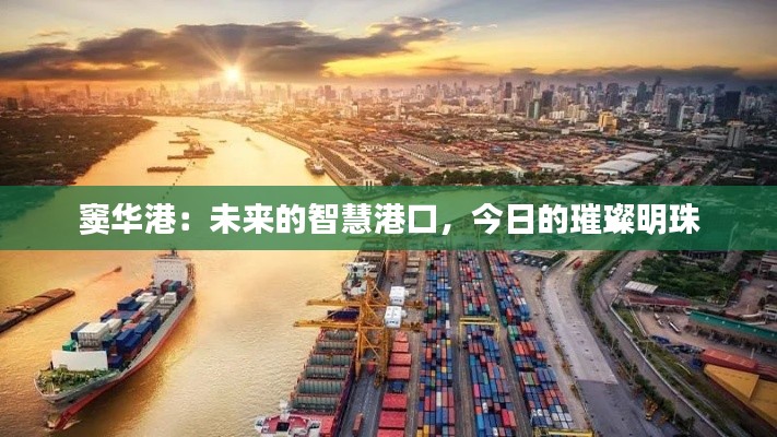 窦华港:未来的智慧港口,今日的璀璨明珠