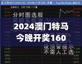 2024澳门特马今晚开奖160期,稳定性执行计划_XR165.794