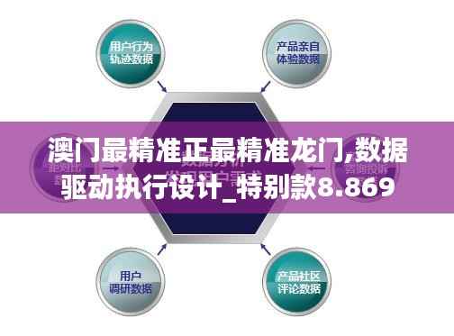 澳门最精准正最精准龙门,数据驱动执行设计_特别款8.869