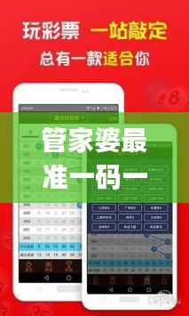 管家婆最准一码一肖,统计分析解析说明_进阶版2.932