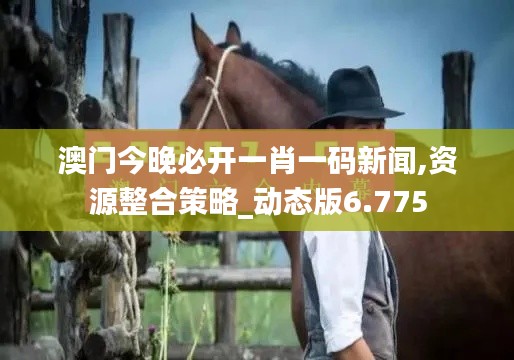 澳门今晚必开一肖一码新闻,资源整合策略_动态版6.775