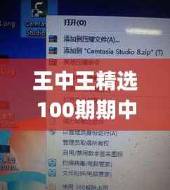 九死一生 第4页