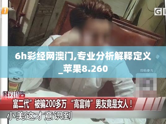 6h彩经网澳门,专业分析解释定义_苹果8.260