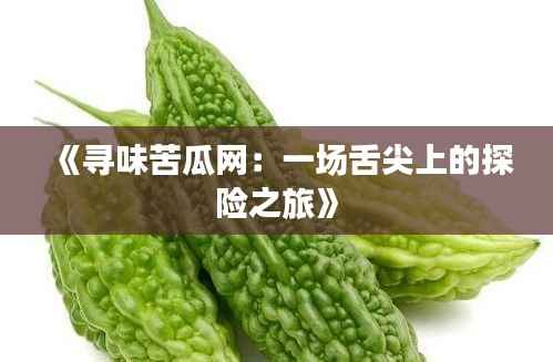 《寻味苦瓜网:一场舌尖上的探险之旅》