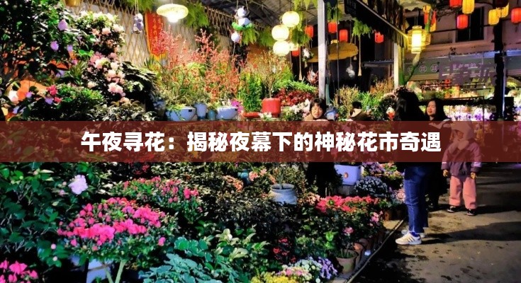 午夜寻花:揭秘夜幕下的神秘花市奇遇