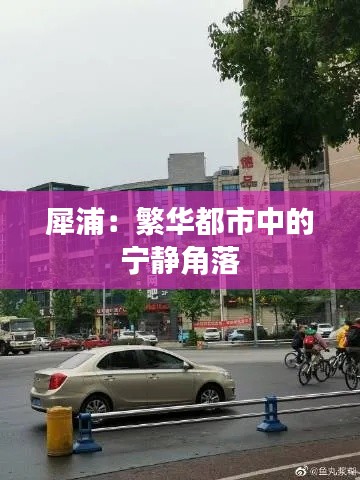 勇往直前 第5页