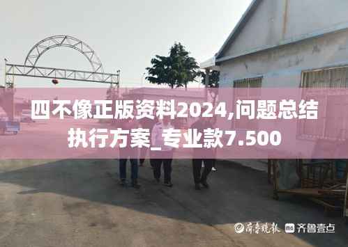 四不像正版资料2024,问题总结执行方案_专业款7.500