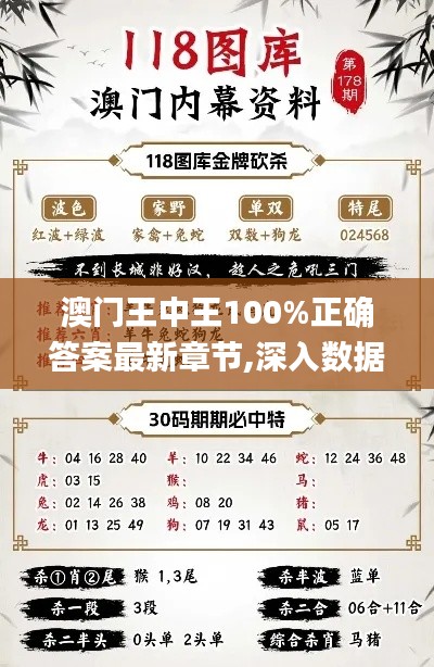 澳门王中王100%正确答案最新章节,深入数据解答解释落实_开发版1.947