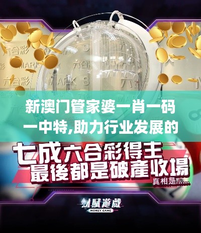 新澳门管家婆一肖一码一中特,助力行业发展的强大资源_Harmony款3.106