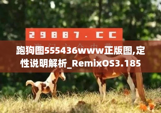 跑狗图555436www正版图,定性说明解析_RemixOS3.185