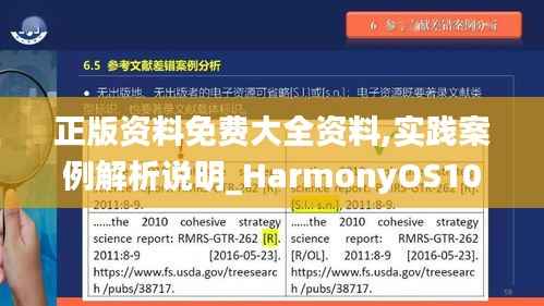 正版资料免费大全资料,实践案例解析说明_HarmonyOS10.361