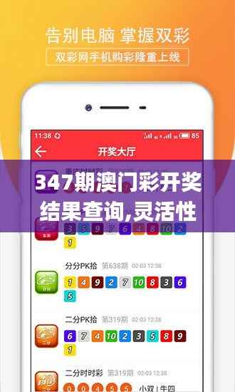 347期澳门彩开奖结果查询,灵活性操作方案_超值版4.614