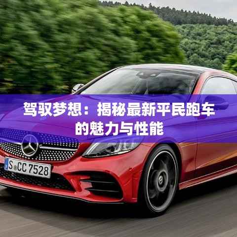 驾驭梦想:揭秘最新平民跑车的魅力与性能