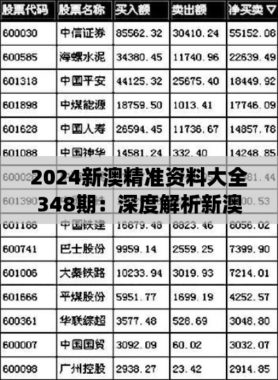 2024新澳精准资料大全348期:深度解析新澳市场动态和趋势