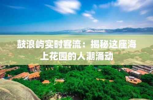 鼓浪屿实时客流：揭秘这座海上花园的人潮涌动