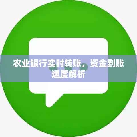 农业银行实时转账，资金到账速度解析