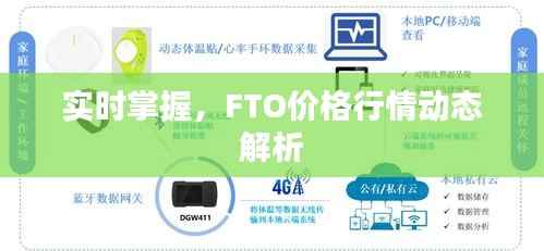 实时掌握,FTO价格行情动态解析