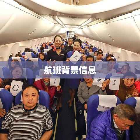 航班背景信息