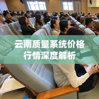 云南质量系统价格行情深度解析