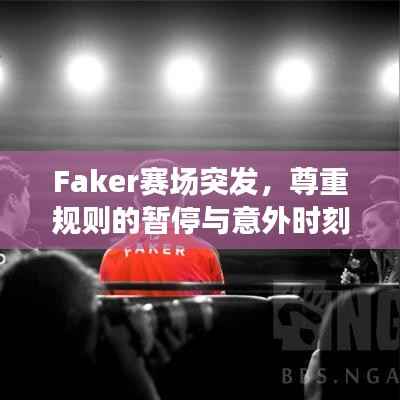 Faker赛场突发,尊重规则的暂停与意外时刻