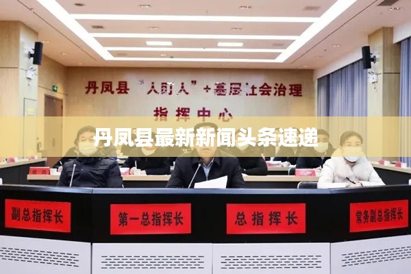 丹凤县最新新闻头条速递