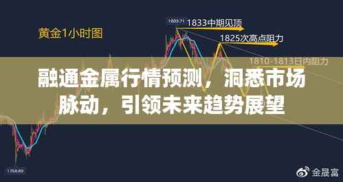 融通金属行情预测，洞悉市场脉动，引领未来趋势展望