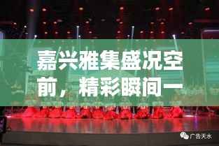 嘉兴雅集盛况空前,精彩瞬间一网打尽!