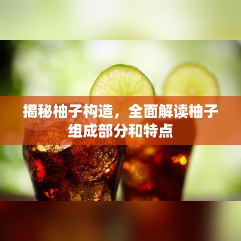 威风凛凛 第3页
