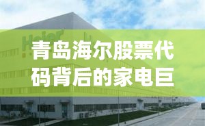 青岛海尔股票代码背后的家电巨头资本市场之旅