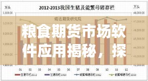 粮食期货市场软件应用揭秘,探索行情,把握市场信息的必备利器