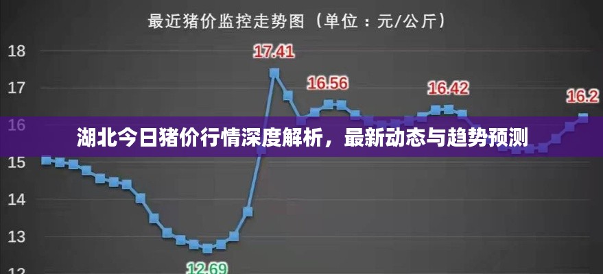 湖北今日猪价行情深度解析，最新动态与趋势预测