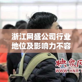 浙江网盛公司行业地位及影响力不容小觑,揭秘其排名与实力