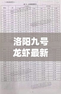 洛阳九号龙虾最新价格大揭秘及分析报告