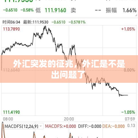 外汇突发的征兆,外汇是不是出问题了