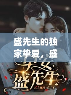 盛先生的独家挚爱,盛先生bingo