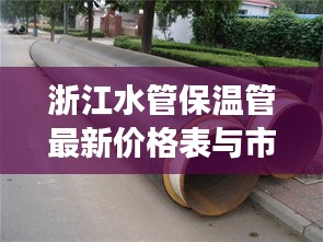 水浄鹅飞 第2页
