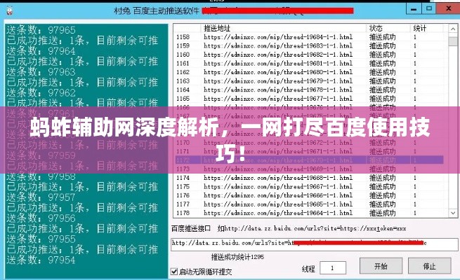 蚂蚱辅助网深度解析,一网打尽百度使用技巧!