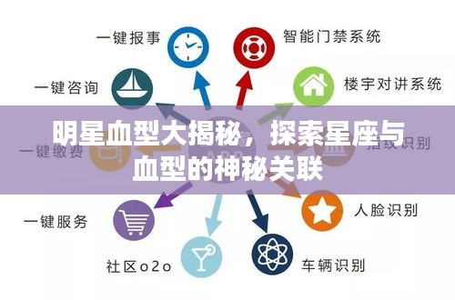 明星血型大揭秘,探索星座与血型的神秘关联