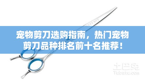 无拘无束 第2页