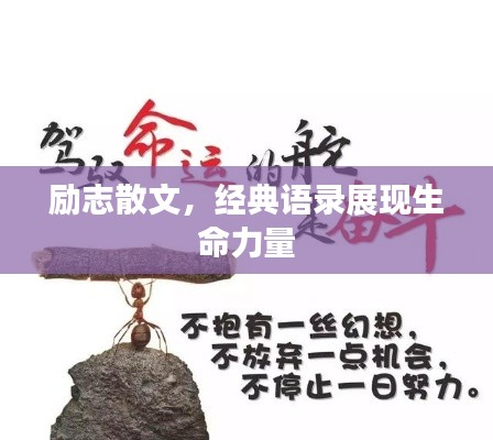 励志散文，经典语录展现生命力量