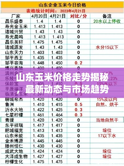 山东玉米价格走势揭秘,最新动态与市场趋势分析